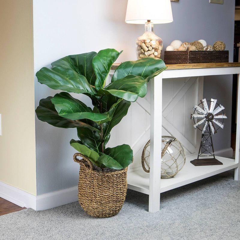 36" x 18" Artificial Fiddle Leaf Fig Plant in Basket - LCG Florals: Faux Fig, Indoor Polyester Decor, Wicker Basket