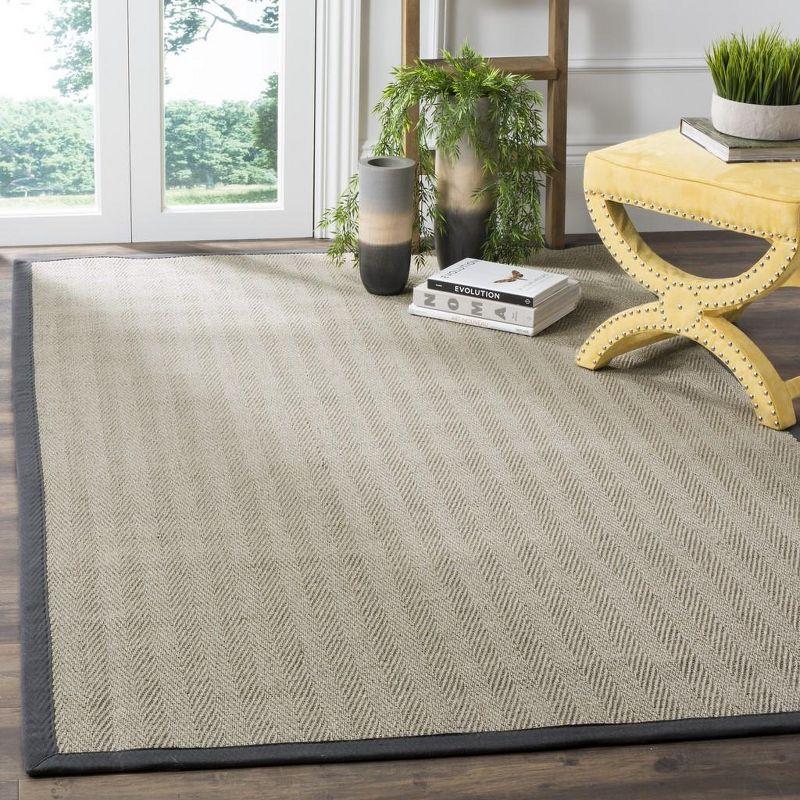 Natural Fiber NF444 Power Loomed Area Rug  - Safavieh