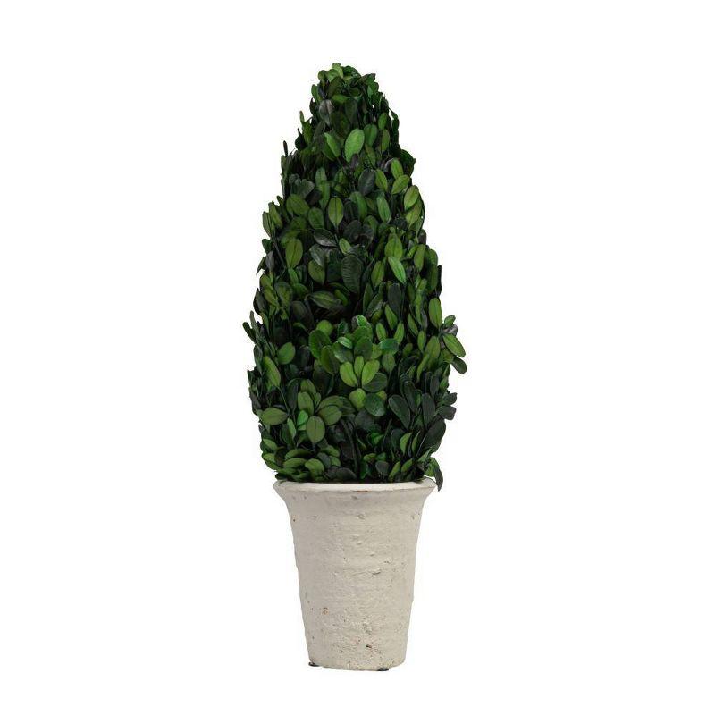 Storied Home Boxwood Cone Topiary: Indoor Faux Topiary, Cement Pot Base, Styrofoam Filler, 17.72" Height