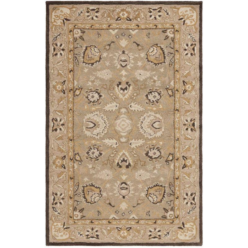 Anatolia AN512 Hand Tufted Indoor Area Rug - Sage/Beige - 4'x6' - Safavieh