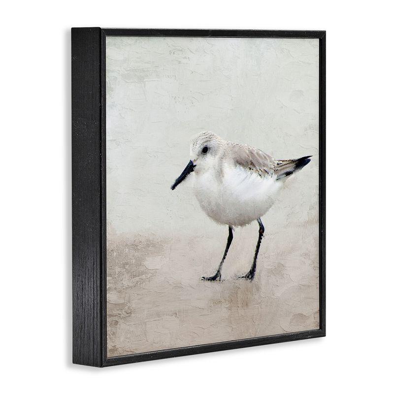 Stupell Industries Lone Sandpiper Bird Portrait, 12" x 12"