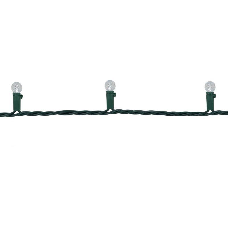 Northlight LED G12 Berry Christmas Lights - Pure White - 16' Green Wire - 50 ct