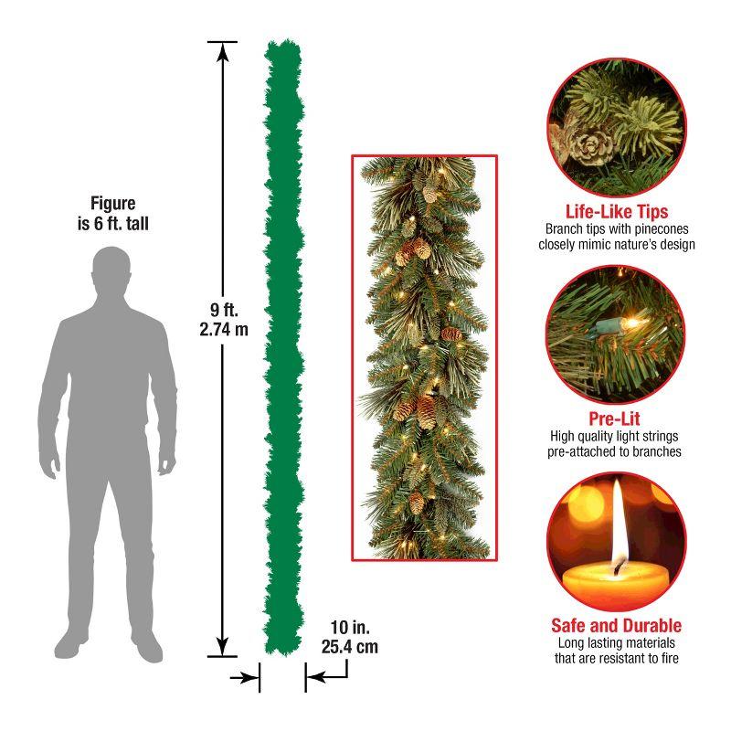 The Holiday Aisle® 9ft. Carolina Pine Garland with Clear Lights