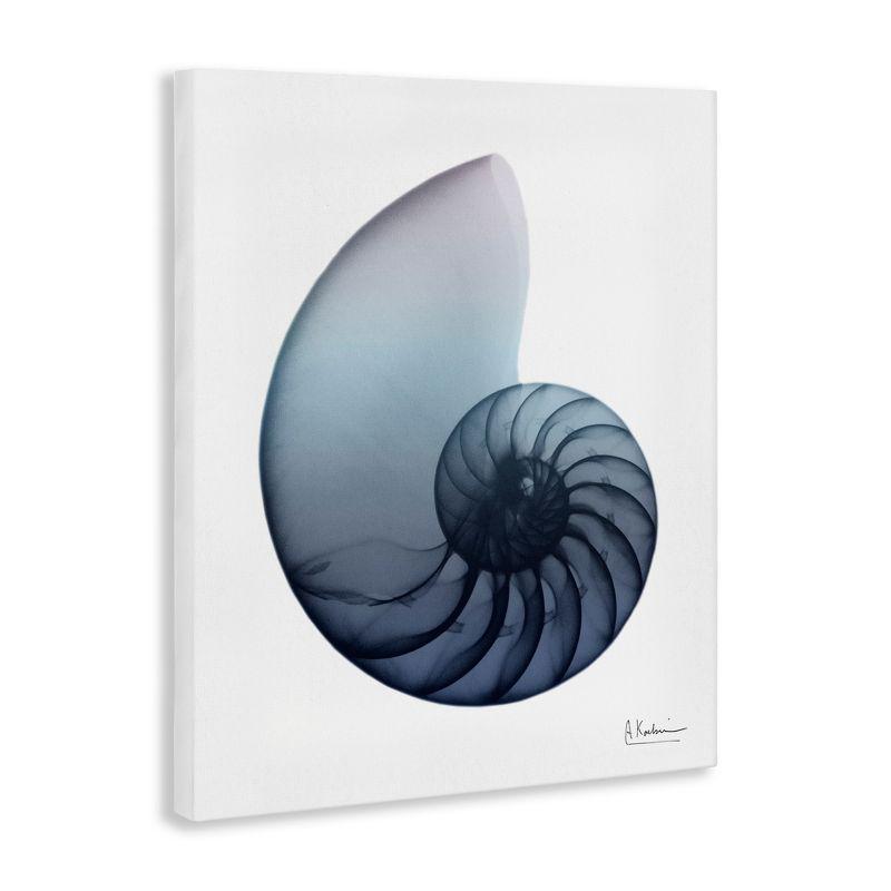 Stupell Industries Contemporary Nautilus Shell, 16" x 20"