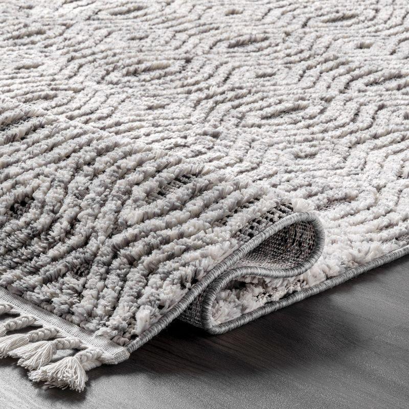 Nuloom Arielle Soft Trellis Textured Tassel Indoor Area Rug, 4' x 6'
