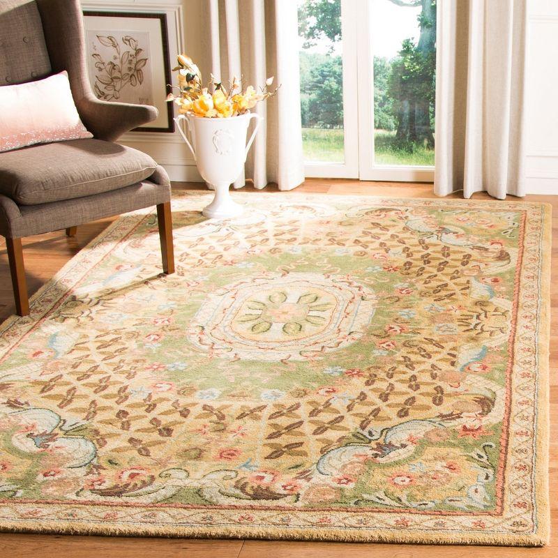 Classic CL304 Hand Tufted Area Rug  - Safavieh