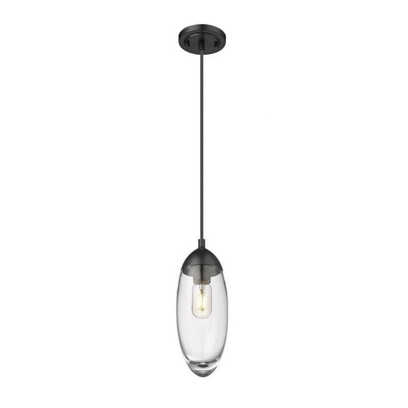 Z-Lite Arden 1 - Light Pendant in  Matte Black