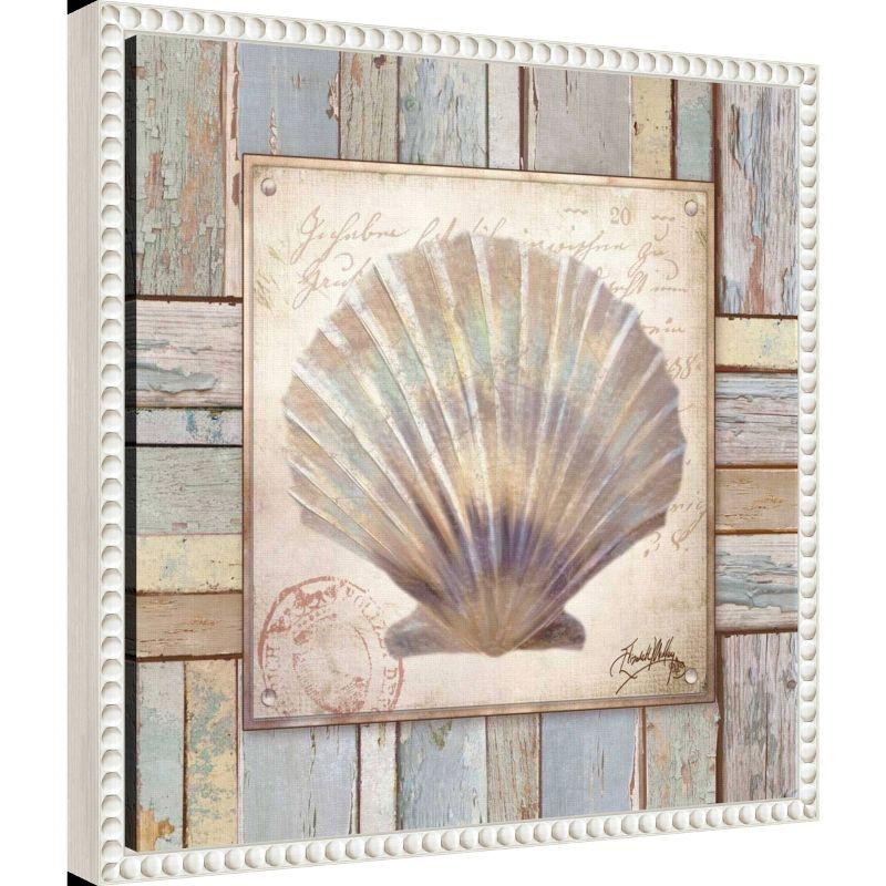 Amanti Art 16"x16" Beach Shell I by Elizabeth Medley: Coastal Nautical Wall Decor, Modern Style