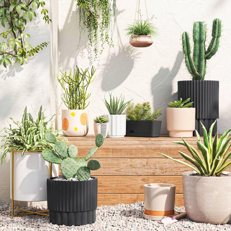 Self-Watering Window Rectangular Indoor Outdoor Planter Box Black 16"x4.5" - Room Essentials™: Polypropylene, No Assembly Required