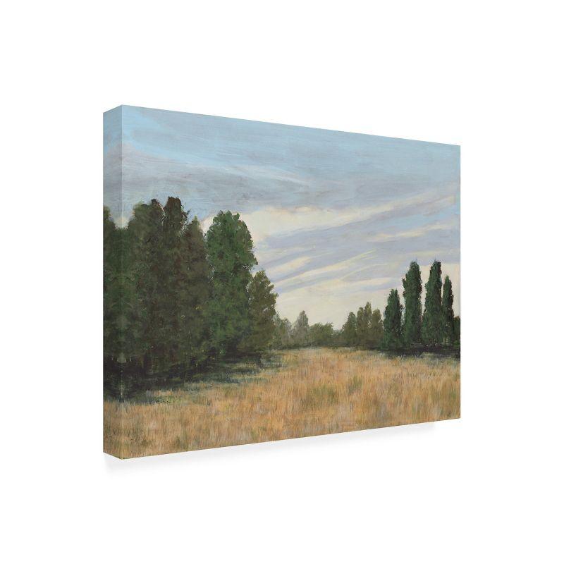 Trademark Fine Art - Michael Willett  Countryside Clearing II Canvas Art