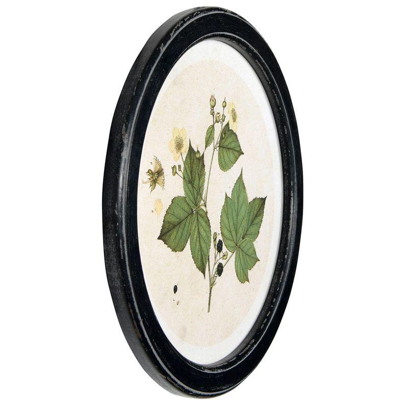 (Set of 4) 13.75" Wood Framed Wall Art Sets with Vintage Reproduction Botanical Print - Storied Home: Elegant Home Decor