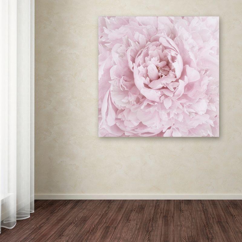 Trademark Fine Art -Cora Niele 'Pink Peony Flower' Canvas Art - 35''x35''