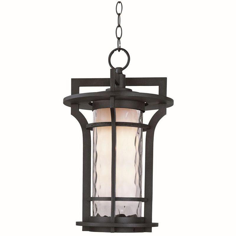 Black Oxide Water Glass 1-Light Outdoor Pendant