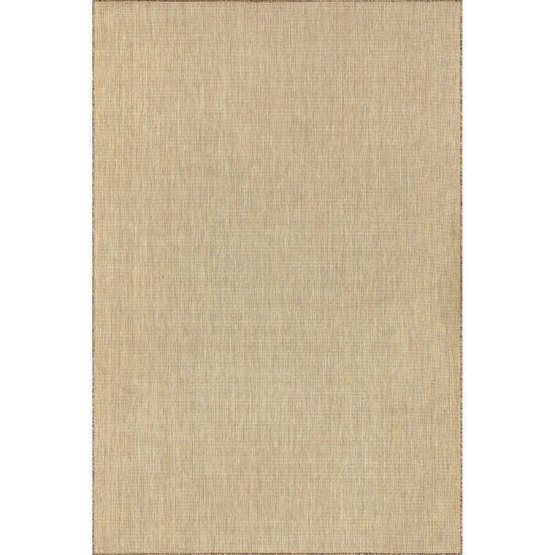 Nakia 4' x 6' Natural Brown Synthetic Indoor/Outdoor Area Rug