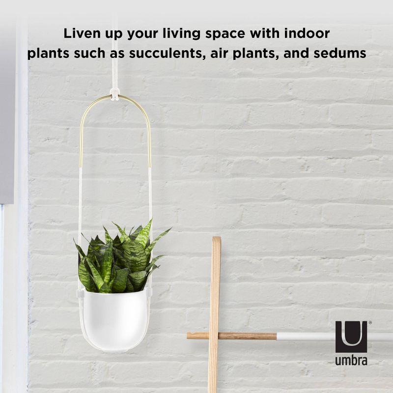 Umbra Bolo Ceramic Hanging Planter