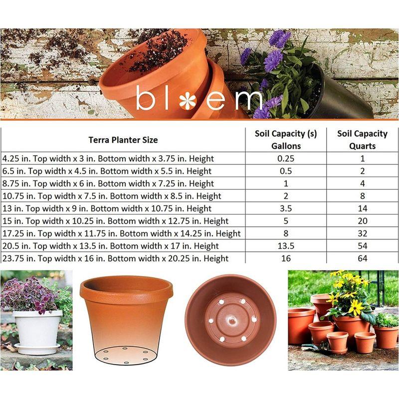 Bloem Terra Plastic Pot Planter, Pebble Stone, 10in