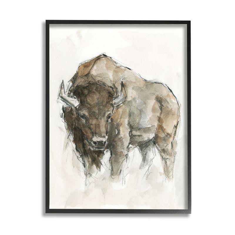 Western American Buffalo Brown Canvas Print with Black Frame