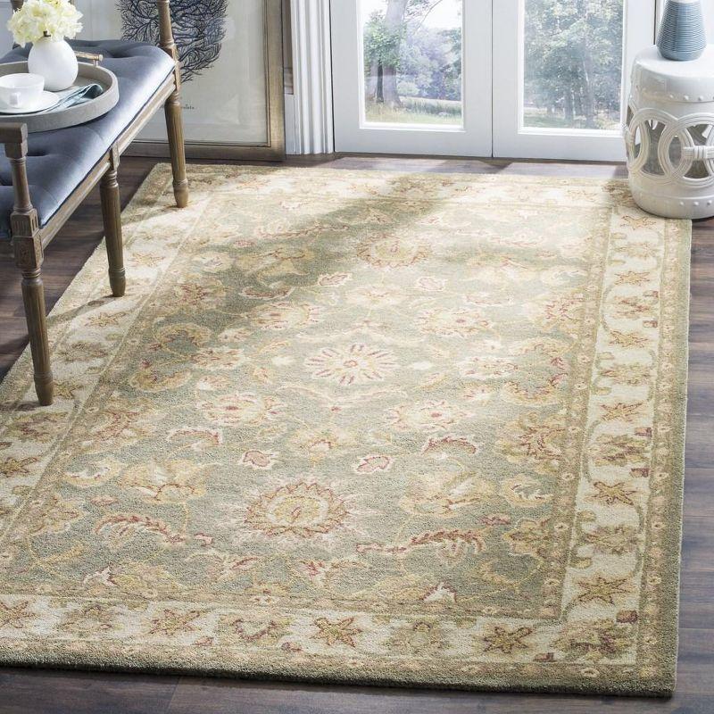 Antiquity AT313 Hand Tufted Area Rug  - Safavieh