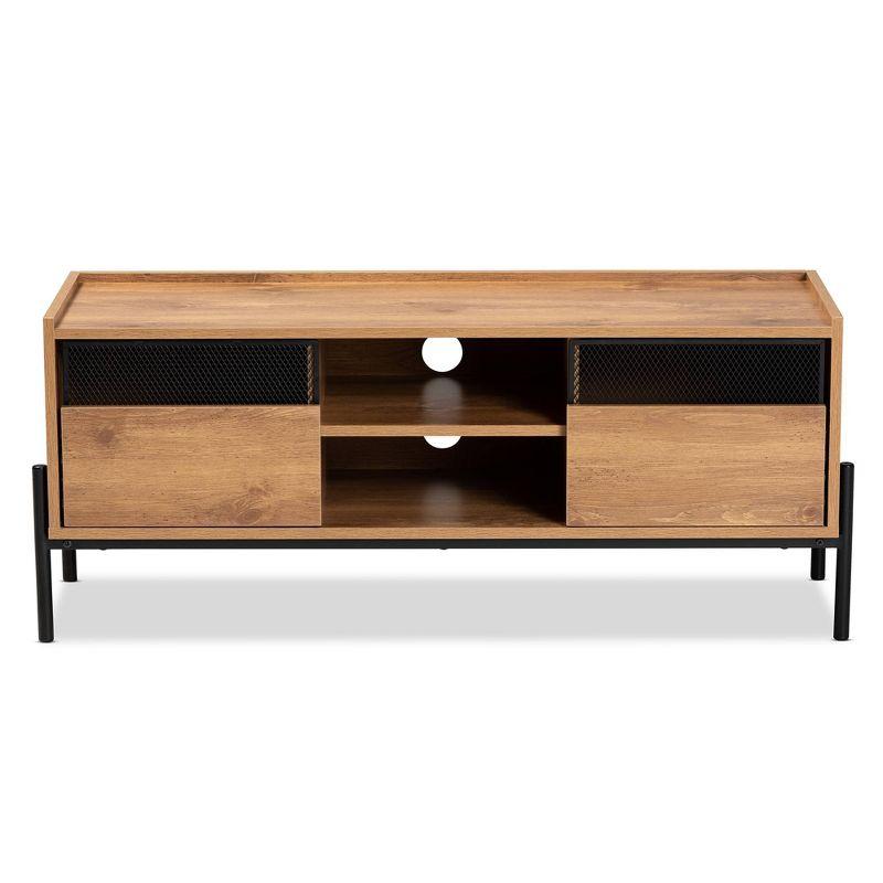 Tasman Wood and Metal 2 Door TV Stand for TVs up to 45" Natural Brown/Black - Baxton Studio