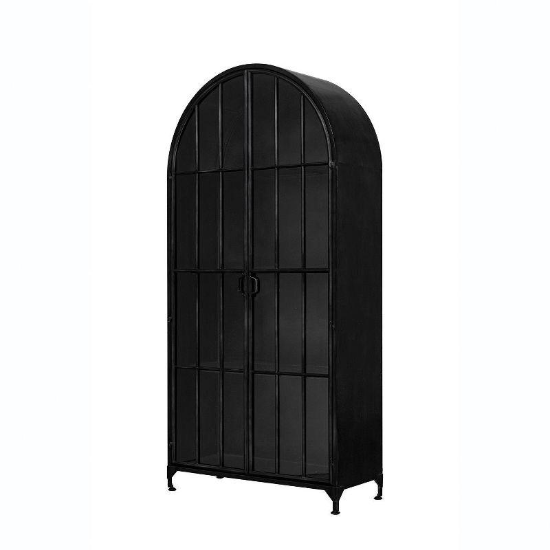 Storied Home Arched 76" Tall Decorative Storage Cabinet Black: Iron Frame, Glass Surface, Fixed Shelves