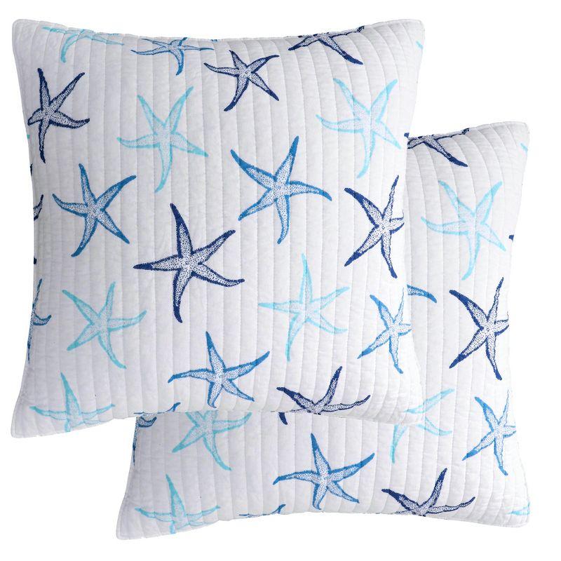 Camps Bay Blue and White Cotton Euro Shams Set