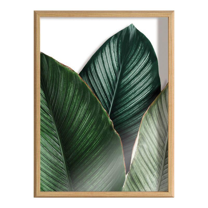 18" x 24" Blake Tropical Palm Leaves Framed Printed Glass Natural - Kate & Laurel All Things Decor