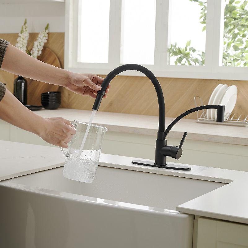 Pull Down Single Handle Kitchen Faucet with Accessories