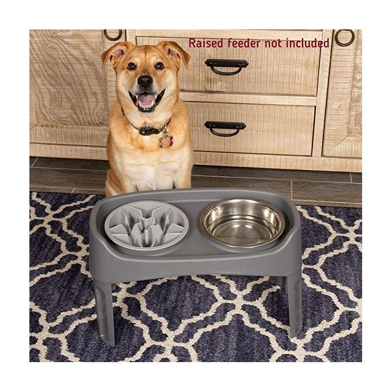 Gray 2-Cup Slow Feed Dog Bowl Insert for Raised Feeders