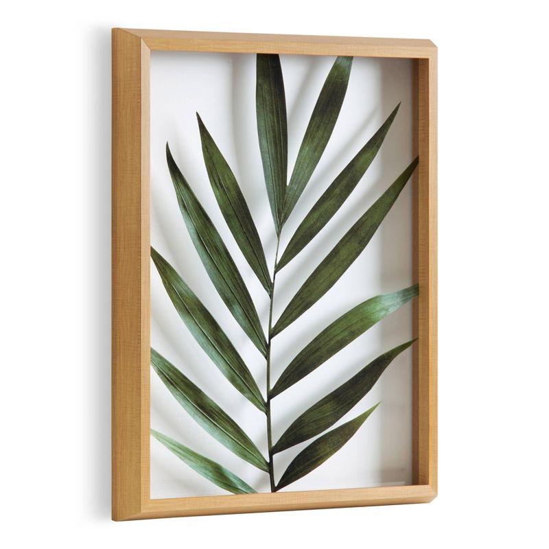 16" x 20" Blake Botanical 5F Framed Printed Glass by Amy Peterson - Kate & Laurel All Things Decor