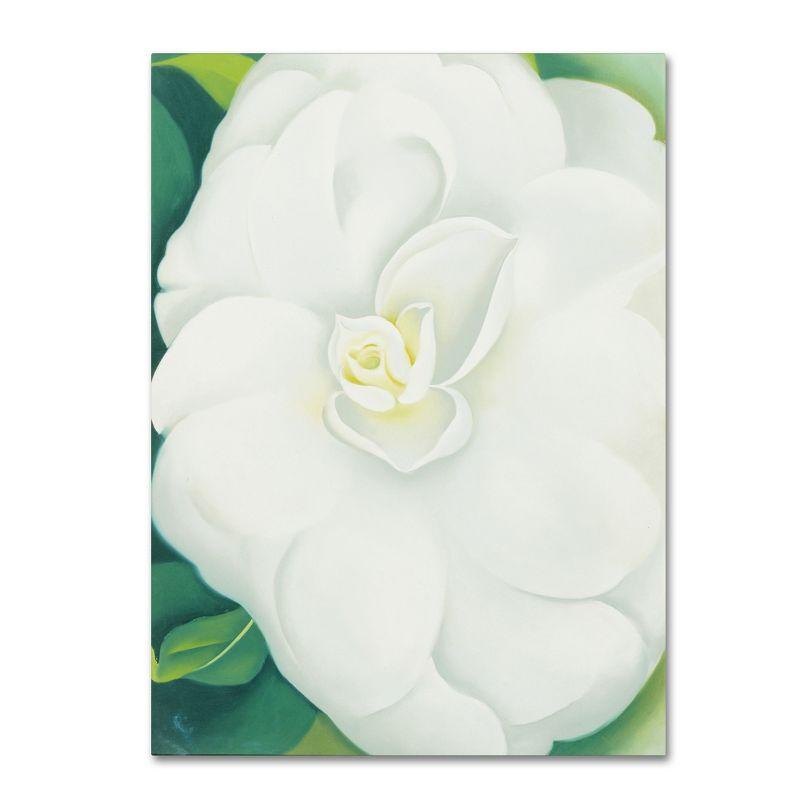 White Camelia Giclee Print on Canvas with Floater Frame