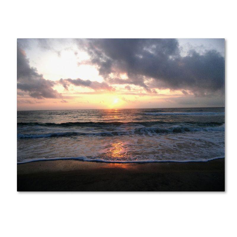 Trademark Fine Art -Monica Fleet 'Gentle Rise' Canvas Art