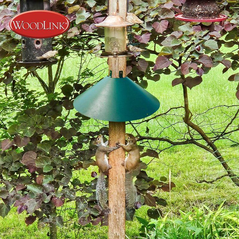 Green Metal Wrap Around Bird Feeder Squirrel Baffle Guard