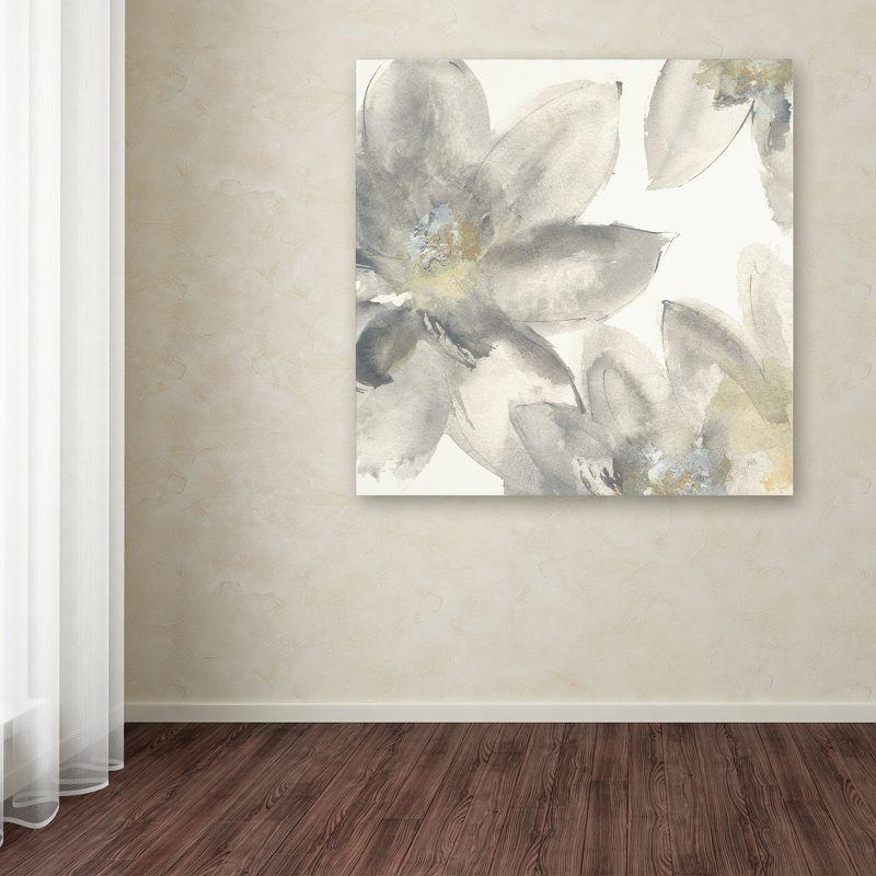 Trademark Fine Art -Chris Paschke 'Gray and Silver Flowers I' Canvas Art - 24''x24''