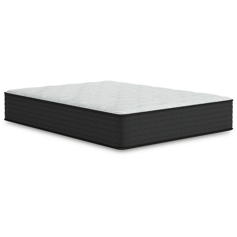 Signature Design by Ashley Palisades Firm Twin Mattress