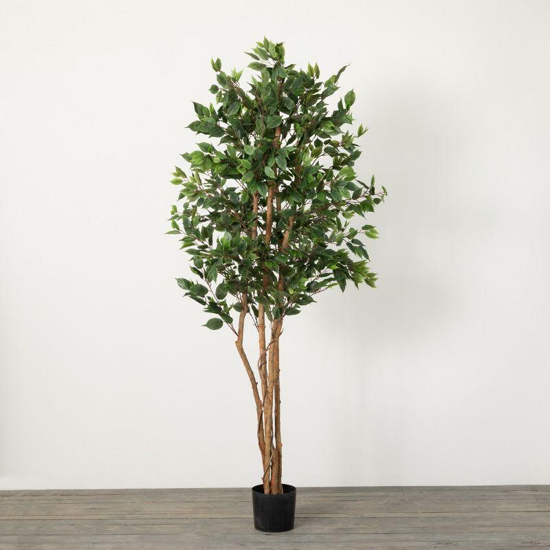 Verdant Luxe 7'2" Faux Ficus Floor Plant in Sleek Pot