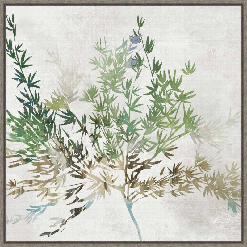 Amanti Art Olive Branch by Asia Jensen Canvas Wall Art Print Framed 22 x 22-in.