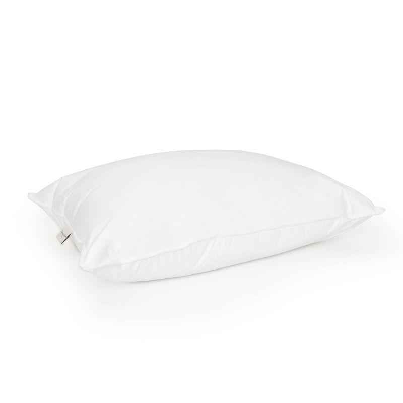 Queen White Hypoallergenic Polyester Down Alternative Pillow Set