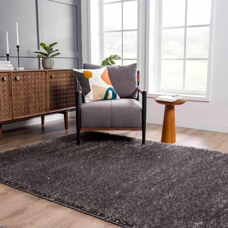 Faina Medium Gray Plush Shag Washable Rug 4' x 5'7"