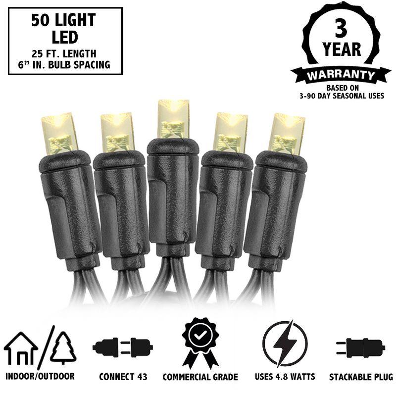 Novelty Lights 50 Light Purple/Lime Green LED Halloween Mini Light Set (Black Wire, 25 Feet)
