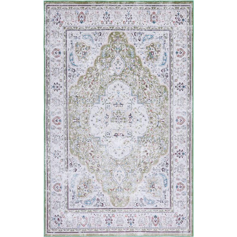 Tucson TSN136 Power Loomed Machine Washable Area Rug  - Safavieh