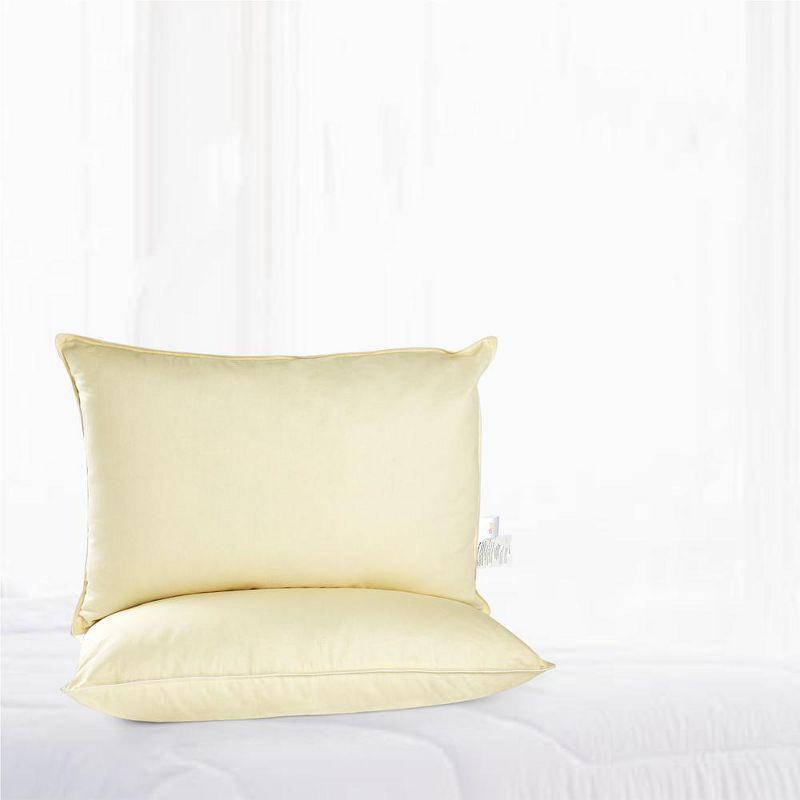 Cheer Collection Set of 2 Organic Kapok Bed Pillows with Breathable Cotton Shell - Yellow, King (20" x 36")