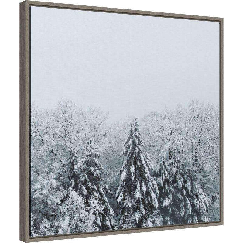 Amanti Art Snowshoe Hill Deep Crop by Sue Schlabach Framed Canvas Wall Art