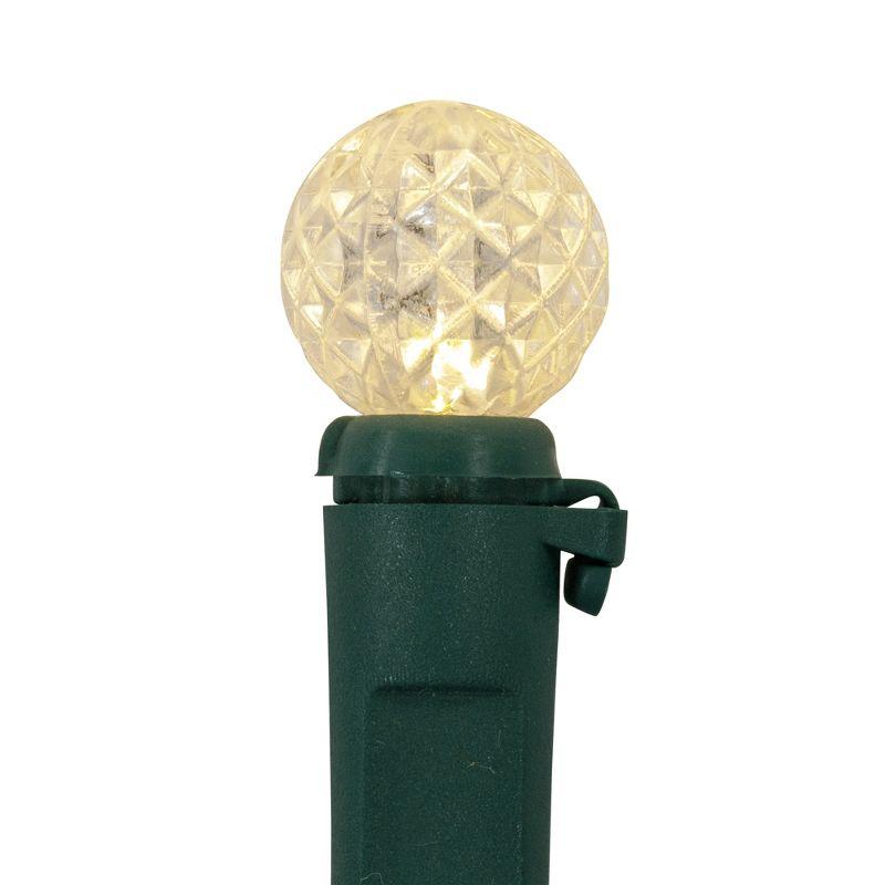 Northlight LED G12 Berry Christmas Lights - Warm White - 16' Green Wire - 50 ct