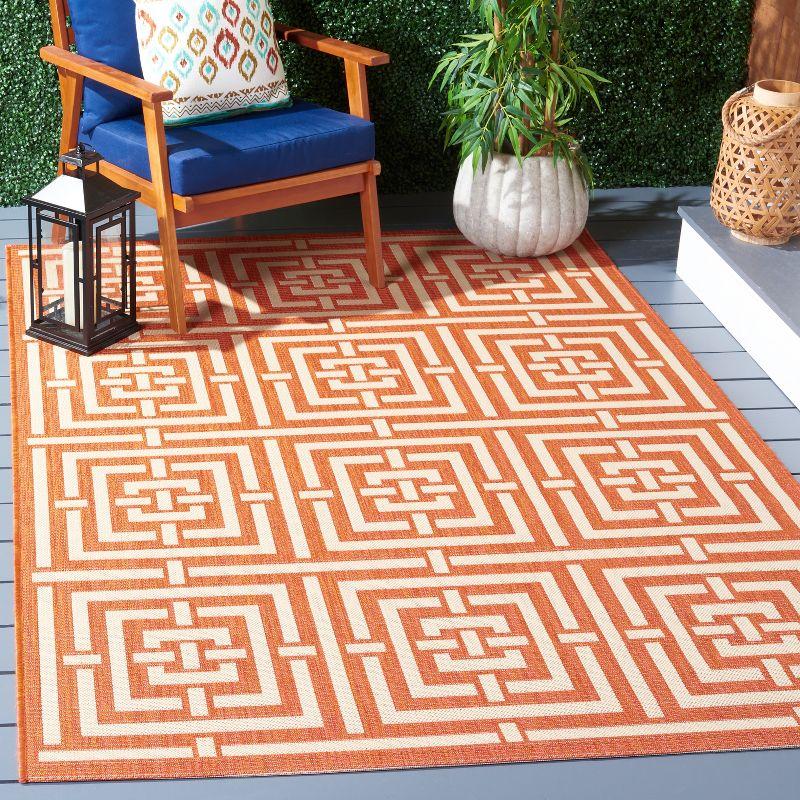 Courtyard CY6937 Power Loomed Indoor/Outdoor Area Rug  - Safavieh