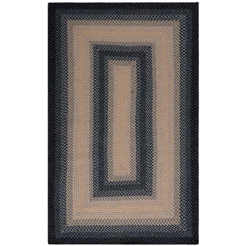 Braided BRD311 Hand Woven Area Rug  - Safavieh