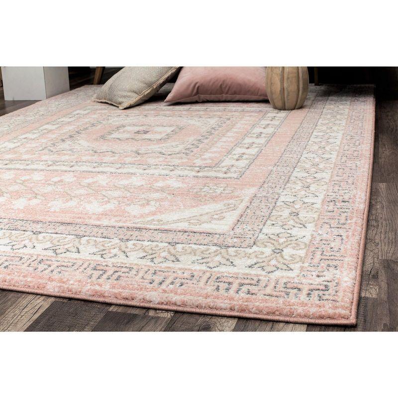 Rugs America Harper Pink Transitional Vintage Area Rug