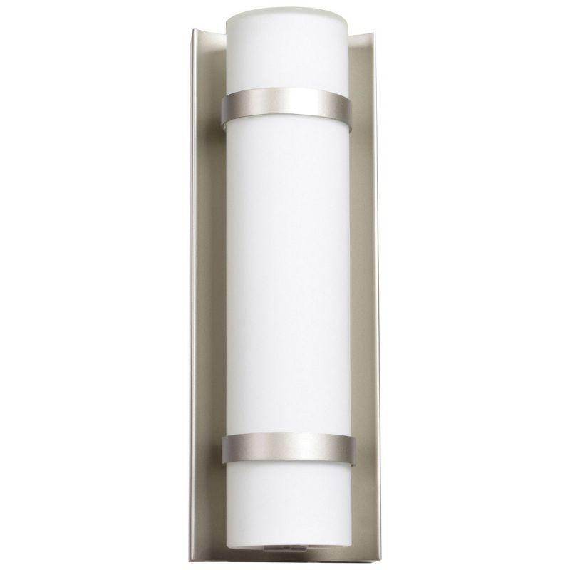 Cilindro Brushed Steel 12" Dimmable LED Outdoor Wall Light