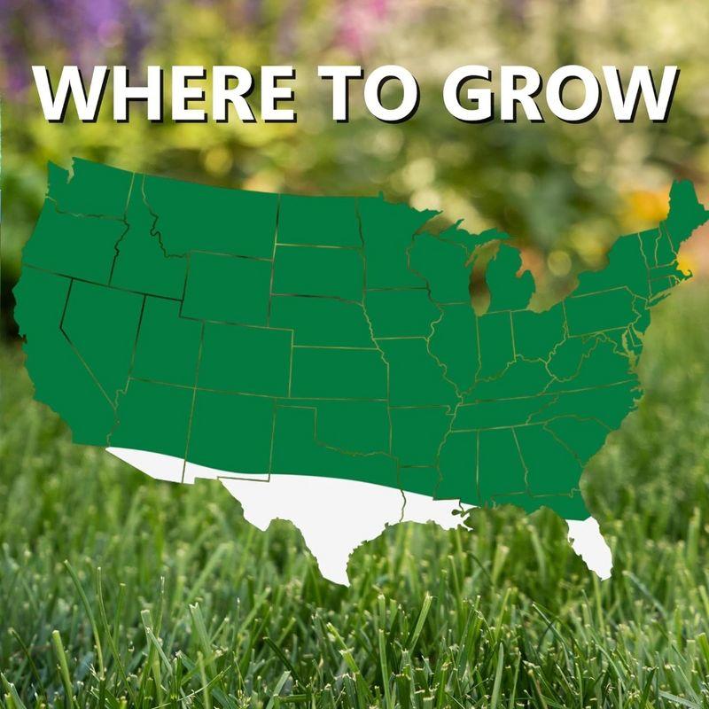 Jonathan Green Touch-Up TRI-RYE Perennial Ryegrass Blend, 25lb