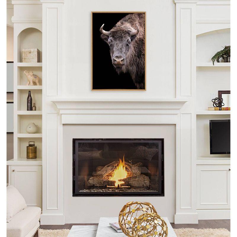 Natural Framed American Bison Canvas Wall Art, 23x33