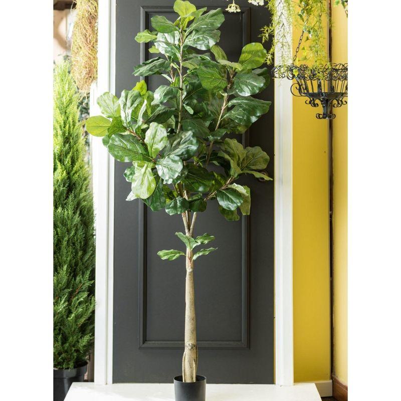 Sullivans Artificial 74" Fiddle Leaf Tree